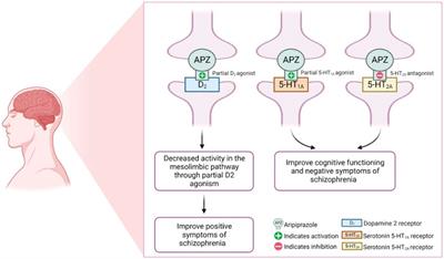 Pharmacogenomics and non-genetic factors affecting drug response in autism spectrum disorder in Thai and other populations: current evidence and future implications